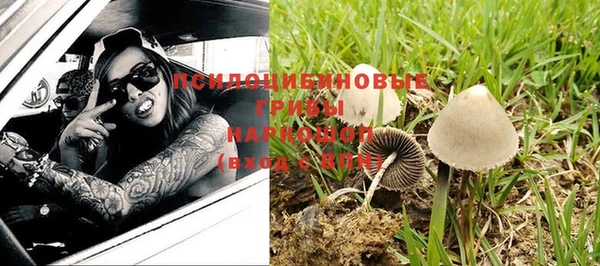 дурь Богородск