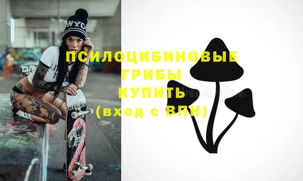 MDMA Богородицк