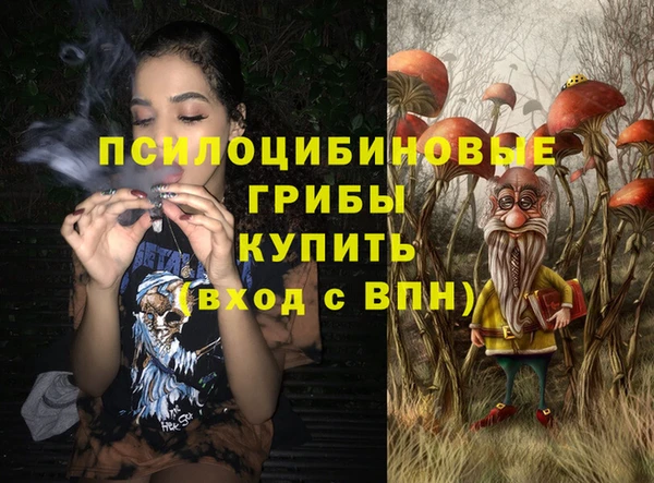 дурь Богородск
