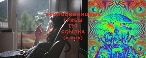 герыч Богданович